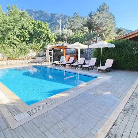 Βίλα Platinium Villa Φετιγιέ