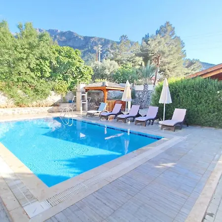 Platinium Villa * Φετιγιέ